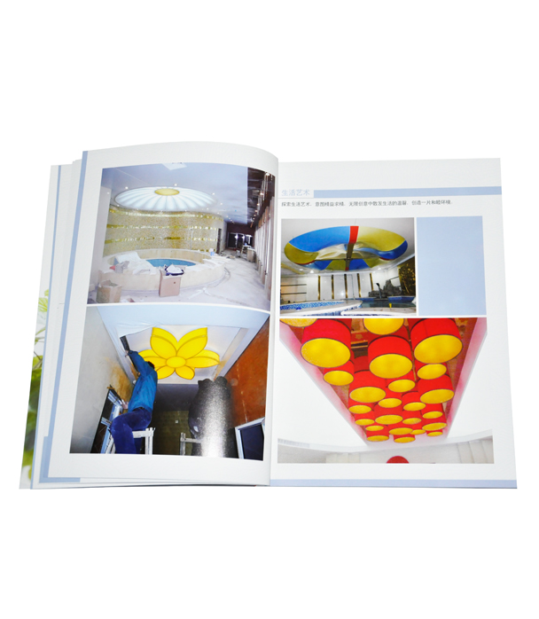 企業(yè)宣傳畫冊 企業(yè)宣傳畫冊