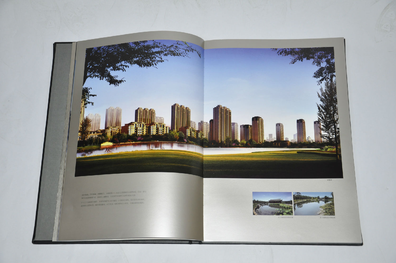 _DSC0038.jpg _DSC0038.jpg