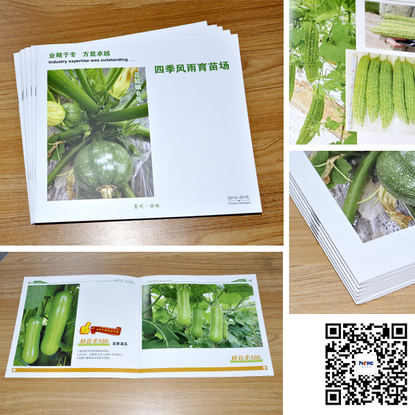 騎馬訂畫(huà)冊(cè)印刷 騎馬訂畫(huà)冊(cè)印刷