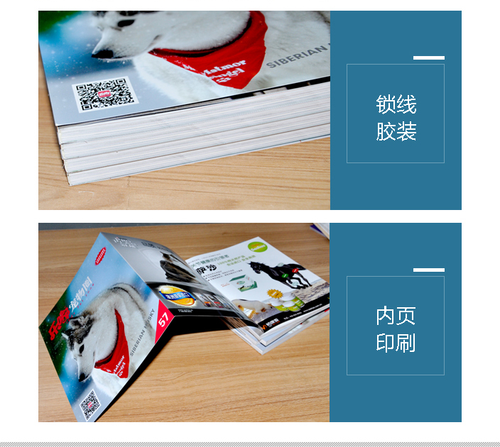 樂嘟寵物園宣傳畫冊(cè)印刷 樂嘟寵物園宣傳畫冊(cè)印刷