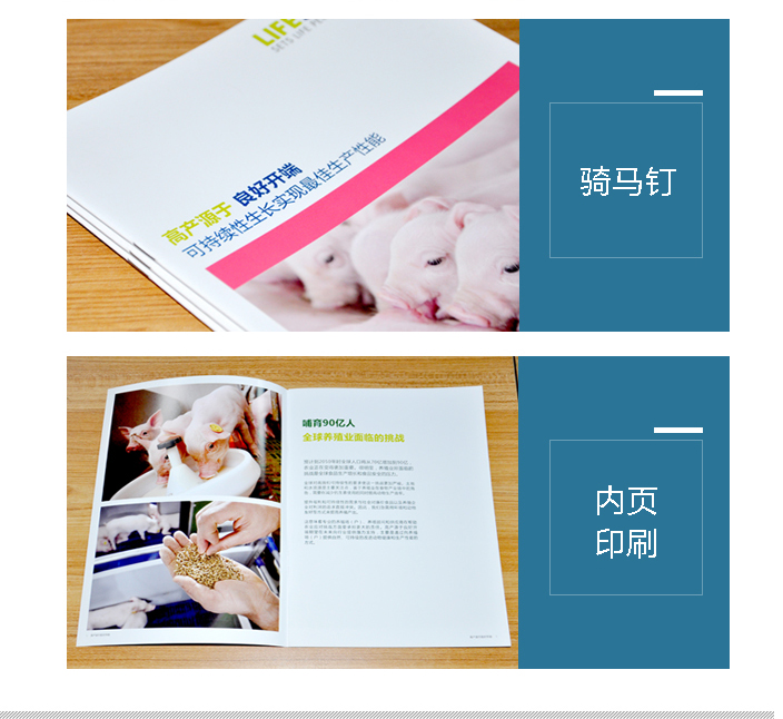 北京泰高營養(yǎng)科技有限公司