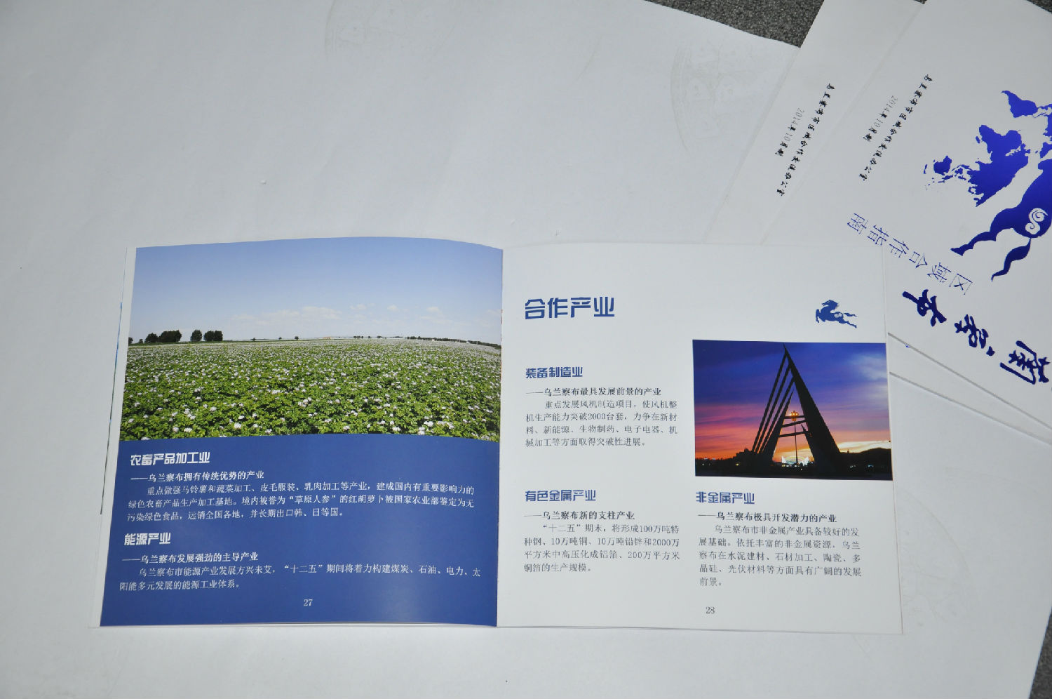 畫冊(cè)印刷 畫冊(cè)印刷