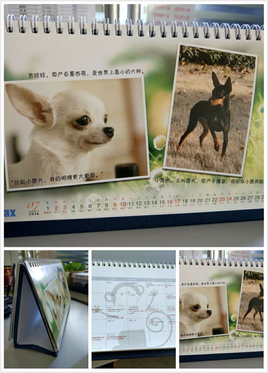 421985608743911917.jpg 421985608743911917.jpg