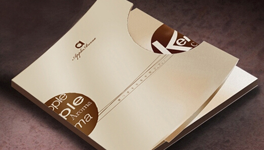 宣傳畫冊(cè)印刷_產(chǎn)品畫冊(cè)印刷—豪彩佳印您最佳的印刷選擇!